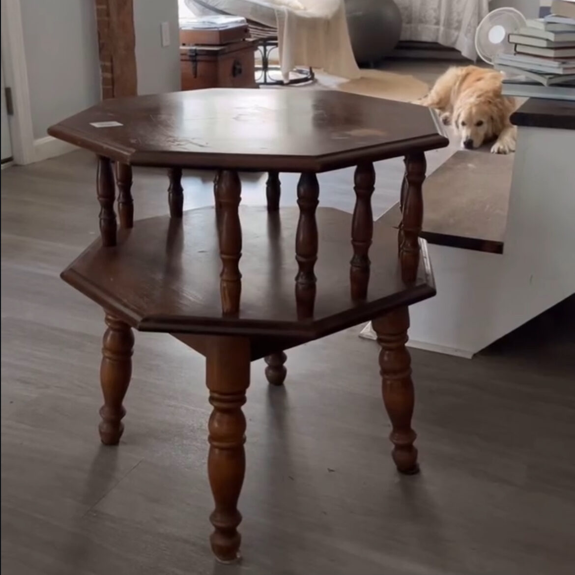 thrifting find before