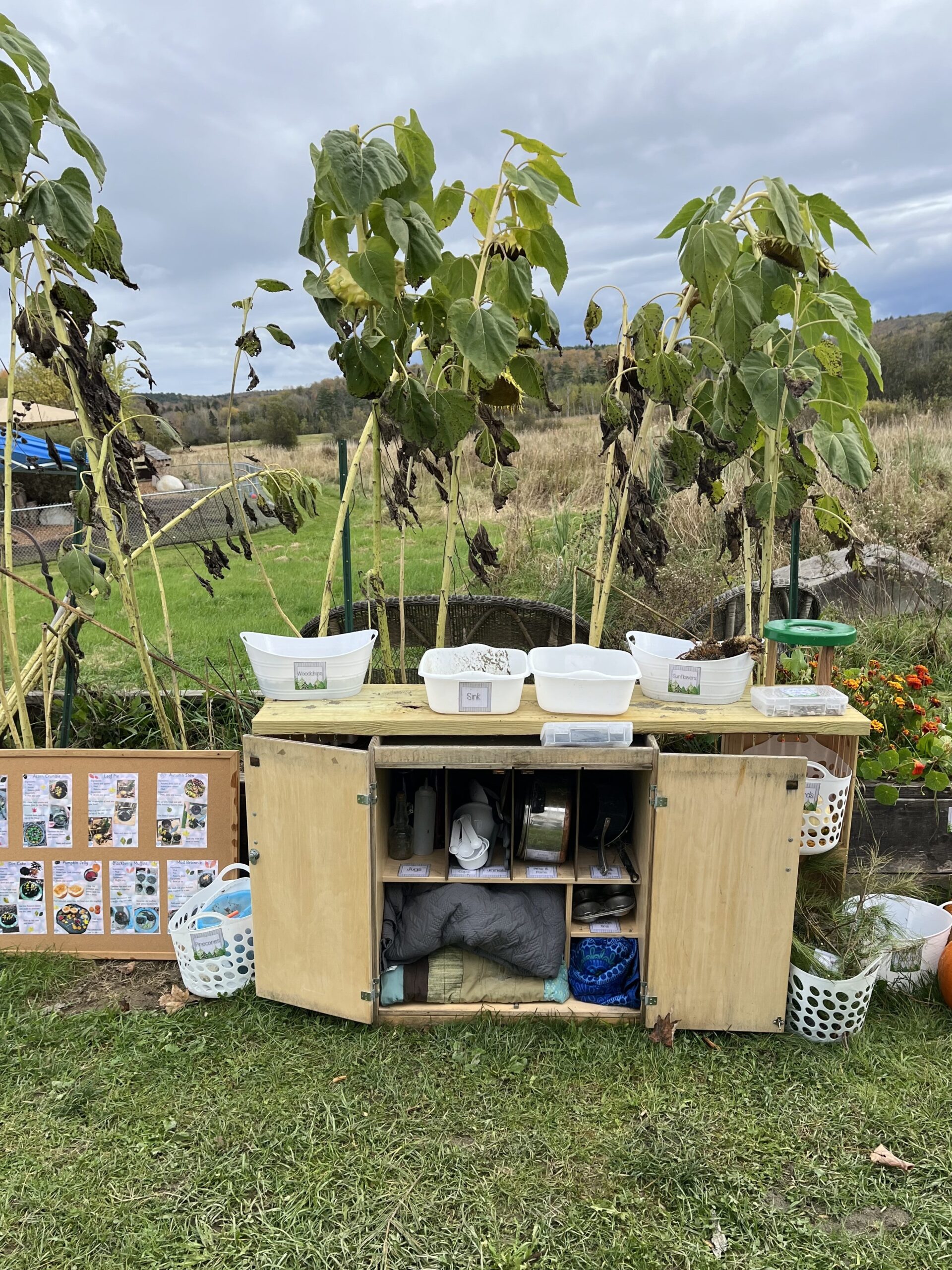 outdoor classroom setup