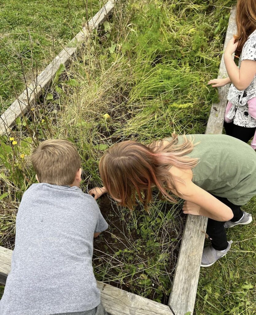 outdoor classroom, outdoor learning