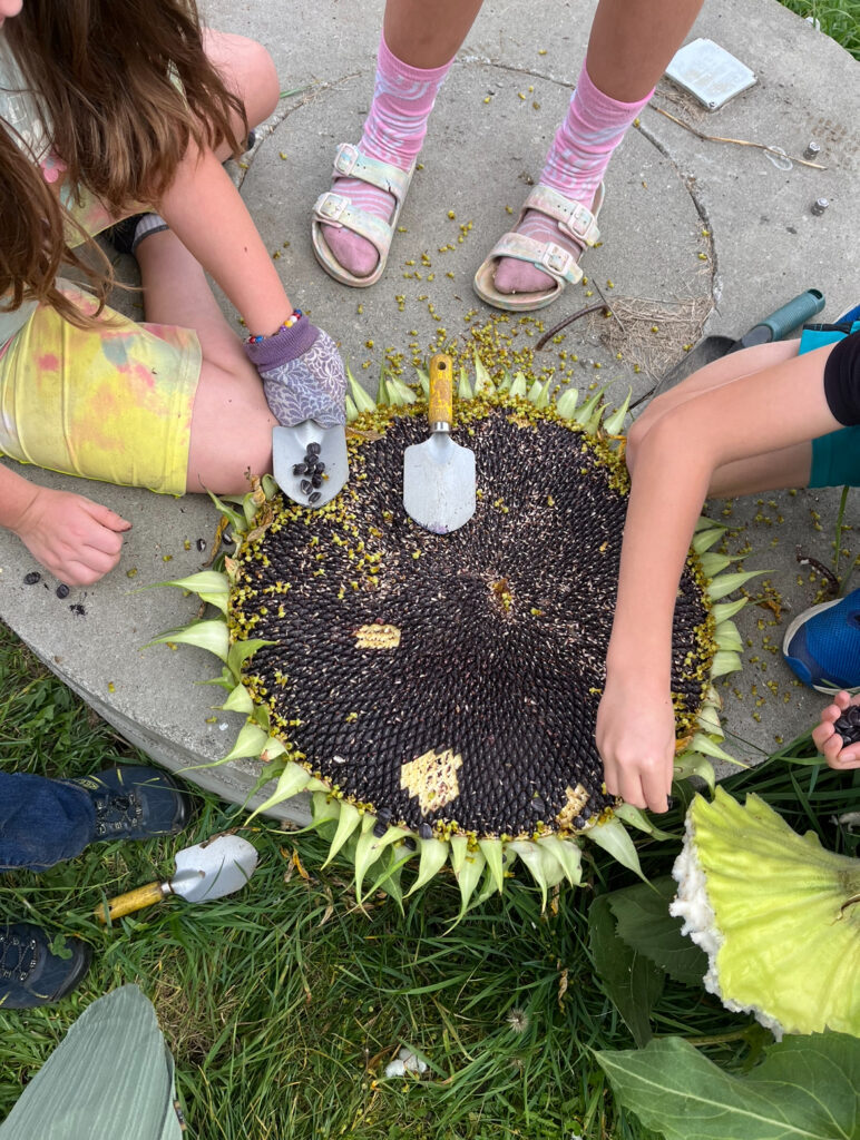 outdoor classroom, outdoor learning