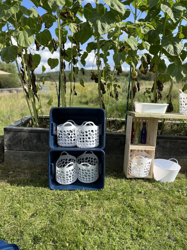 outdoor classroom setup